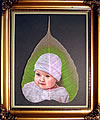 Oil Painting on a Dry Leaf
